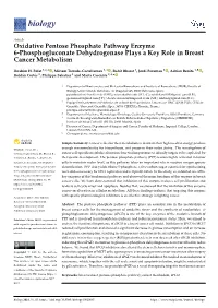 Oxidative Pentose Phosphate Pathway Enzyme 6-Phosphogluconate Dehydrogenase Plays a Key Role in Breast Cancer Metabolism