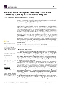 Auxin and Root Gravitropism: Addressing Basic Cellular Processes by Exploiting a Deﬁned Growth Response