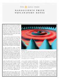 Nanoscience Prize Explanatory Notes