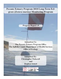 Peconic Estuary Program 2018 Long-Term Eel- Grass (Zostera Marina) Monitoring Program