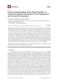 Current Understanding of the Molecular Basis of Venezuelan Equine Encephalitis Virus Pathogenesis and Vaccine Development