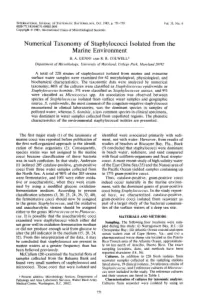 Numerical Taxonomy of Staphylococci Isolated from the Marine Environment