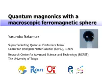 Quantum Magnonics with a Macroscopic Ferromagnetic Sphere