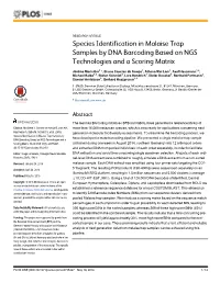 Species Identification in Malaise Trap Samples by DNA Barcoding Based on NGS Technologies and a Scoring Matrix