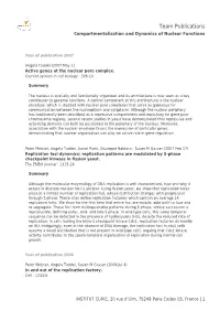 Team Publications Compartmentalization and Dynamics of Nuclear Functions