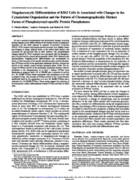 Megakaryocytic Differentiation of K562 Cells Is Associated with Changes