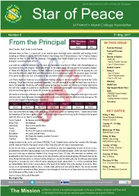 Newsletter No 6