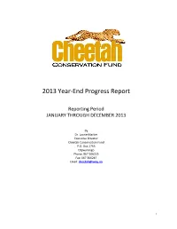 2013 Year-End Progress Report