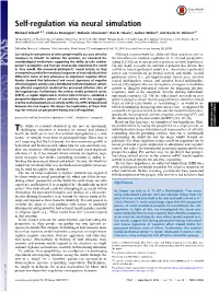 Self-Regulation Via Neural Simulation