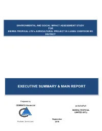 Executive Summary & Main Report