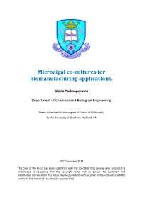 Microalgal Co-Cultures for Biomanufacturing Applications