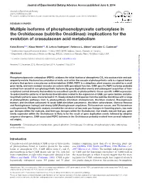 Multiple Isoforms of Phosphoenolpyruvate Carboxylase in the Orchidaceae (Subtribe Oncidiinae): Implications for the Evolution of Crassulacean Acid Metabolism
