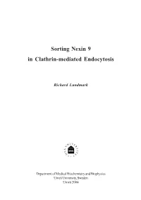 Sorting Nexin 9 in Clathrin-Mediated Endocytosis