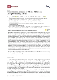 Structure and Analysis of R1 and R2 Pyocin Receptor-Binding Fibers