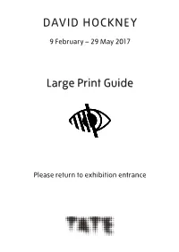 DAVID HOCKNEY Large Print Guide