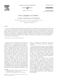 Eleven Daughters of NANOG