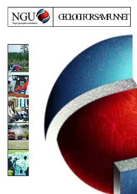 NGU Report 2002.005