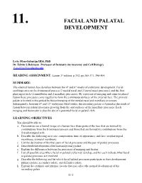 Facial and Palatal Development