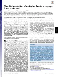 Microbial Production of Methyl Anthranilate, a Grape Flavor Compound