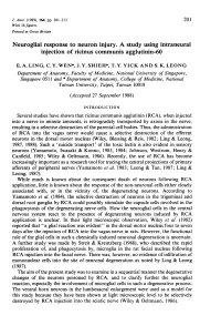 Neuroglial Response to Neuron Injury. a Study Using Intraneural Injection of Ricinus Communis Agglutinin-60