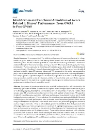 Identification and Functional Annotation of Genes