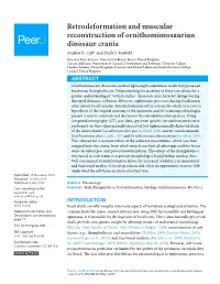 Retrodeformation and Muscular Reconstruction of Ornithomimosaurian Dinosaur Crania Andrew R