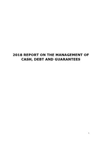 2018 Report on the Management of Cash, Debt and Guarantees
