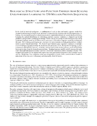 Biological Structure and Function Emerge from Scaling Unsupervised Learning to 250 Million Protein Sequences