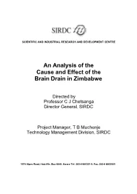 An Analysis of the Cause and Effect of the Brain Drain in Zimbabwe