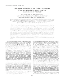 Caricaceae) Based on Molecular and Morphological Evidence1