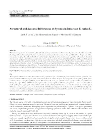 Structural and Seasonal Differences of Syconia in Dioecious F. Carica L