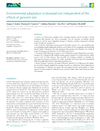 Environmental Adaptation in Stomatal Size Independent of the Effects of Genome Size