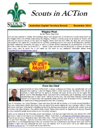 Scouts in Action - November 2014