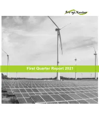 Status Report on the First Quarter of 2021