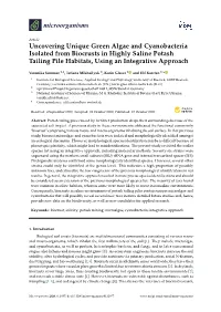 Uncovering Unique Green Algae and Cyanobacteria Isolated from Biocrusts in Highly Saline Potash Tailing Pile Habitats, Using an Integrative Approach