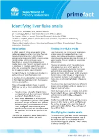 Identifying Liver Fluke Snails