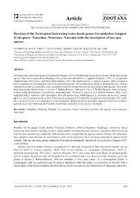 (Coleoptera: Noteridae: Noterinae: Noterini) with the Description of Two New Species