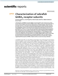 Characterization of Zebrafish GABAA Receptor Subunits