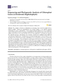Sequencing and Phylogenetic Analysis of Chloroplast Genes in Freshwater Raphidophytes