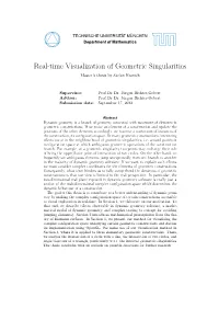Real-Time Visualization of Geometric Singularities Master’S Thesis by Stefan Kranich