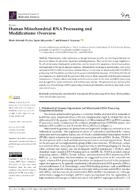 Human Mitochondrial RNA Processing and Modifications