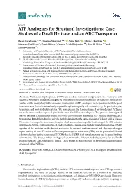ATP Analogues for Structural Investigations: Case Studies of a Dnab Helicase and an ABC Transporter