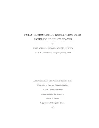 Fully Homomorphic Encryption Over Exterior Product Spaces