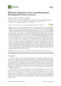 Symbiotic Regulatory Genes Controlling Nodule Development in Pisum Sativum L