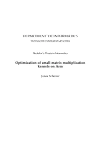 DEPARTMENT of INFORMATICS Optimization of Small Matrix