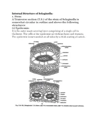 Internal Structure of Selaginella: 1. Stem: a Tranverse Section (TS)