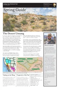 Spring Guide