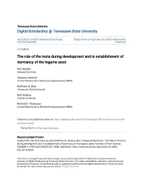 The Role of the Testa During Development and in Establishment of Dormancy of the Legume Seed