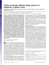 Twelve Previously Unknown Phage Genera Are Ubiquitous in Global Oceans