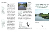 Cow Creek Cont’D Introduction the Problems Publicly